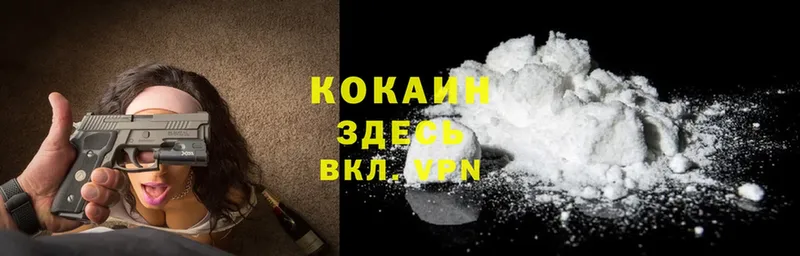 Cocaine FishScale  shop телеграм  Волгореченск  где купить наркоту 